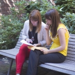 consulting with small business client