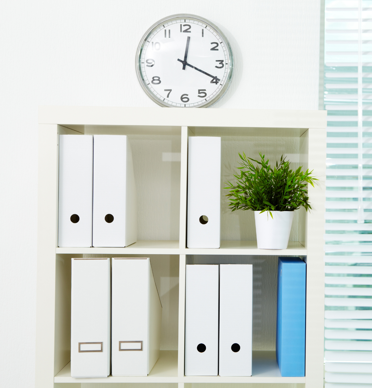 Plant Bookcase Clock